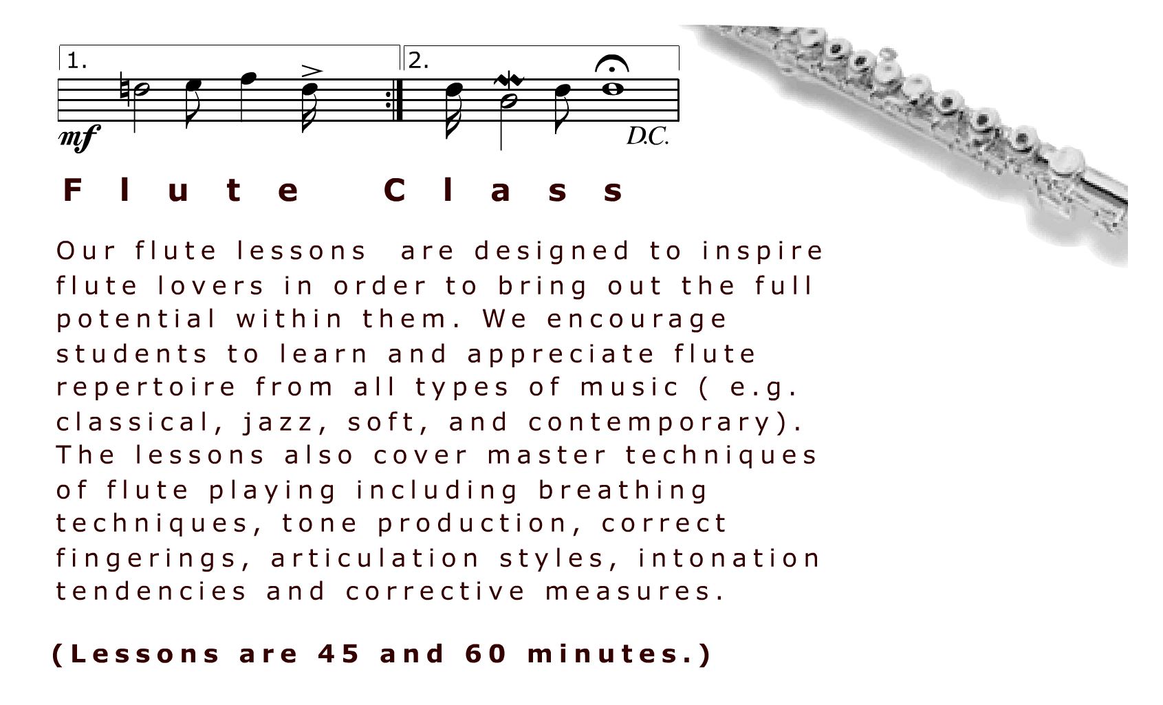 Cupertino flute lessons, servies san jose, saratoga, sunnyvale